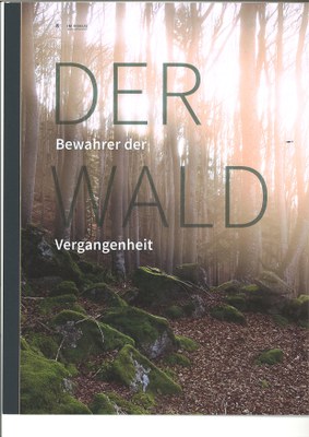 Dr. Markus Herbener - Bodendenkmale im Wald